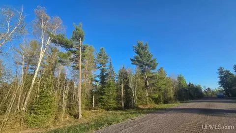 lot12 Carp Crk, Ishpeming, MI 49849 photo 9