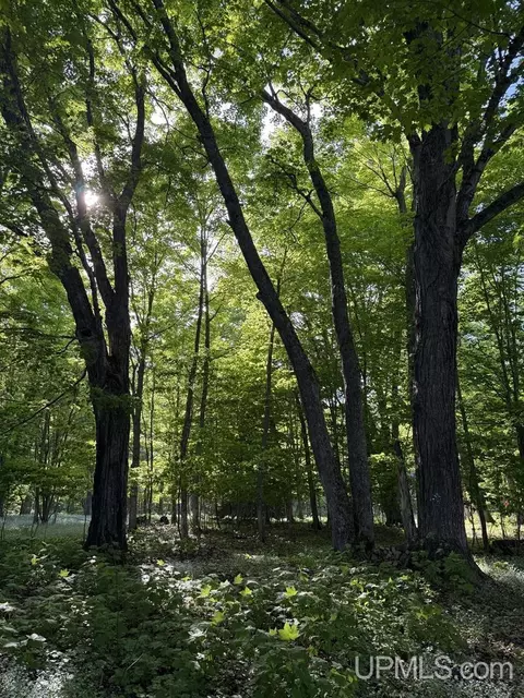 Other - 5886 Gratiot Lk, Mohawk, MI 49950 photo 9 of 12