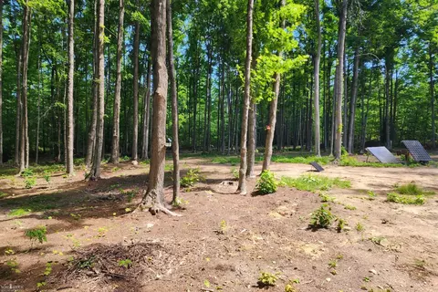 9955 Greenway, Frederic, MI 49733 photo 5