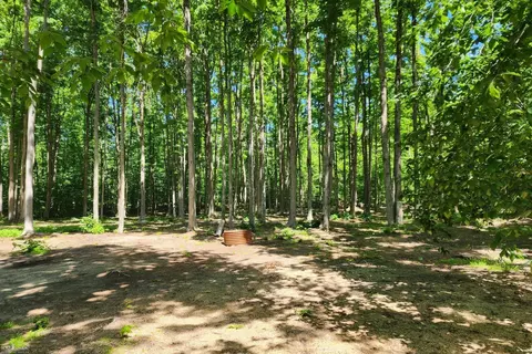 9955 Greenway, Frederic, MI 49733 photo 3