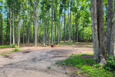 9955 Greenway, Frederic, MI 49733 photo 4