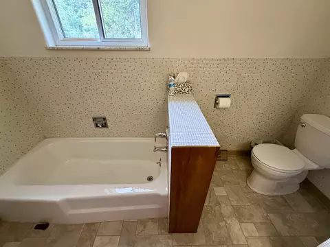 Bath - 216 E 8th, Pinconning, MI 48650 photo 3 of 4