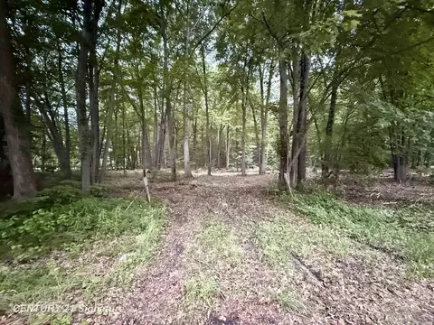 0 Seymour, Burt, MI 48417