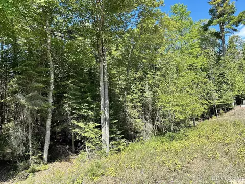 tbd Hemlock Vws #LOT 21 & 22, Manistique, MI 49854