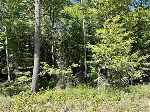 tbd Hemlock Vws #LOT 21 & 22, Manistique, MI 49854