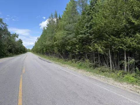 Parcel D H33, Gould City, MI 49838