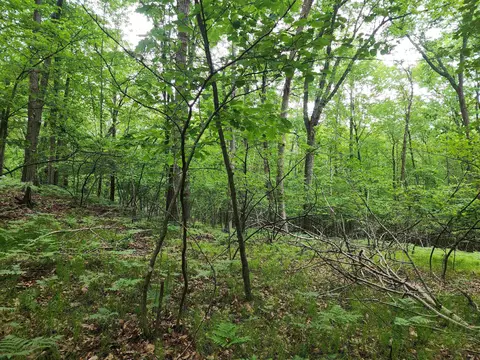 lot826 Hemlock, Farwell, MI 48622