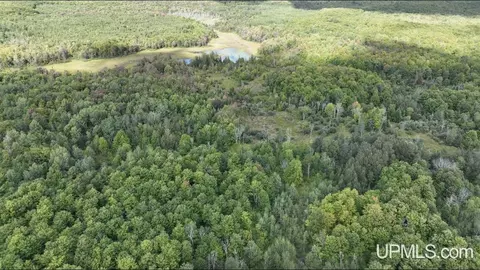 E12696 H-58, Shingleton, MI 49884 photo 5