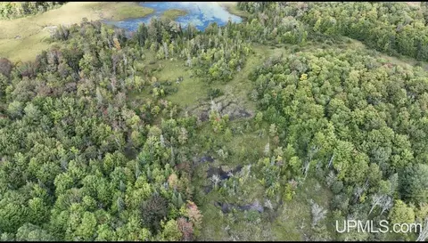 E12696 H-58, Shingleton, MI 49884 photo 11