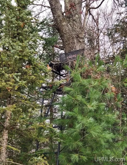 n18104 Perch Lake Road, Pembine T-wi, WI 54156