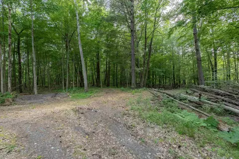 Exterior - 1365 E Shaffer, Hope, MI 48628 photo 19 of 19
