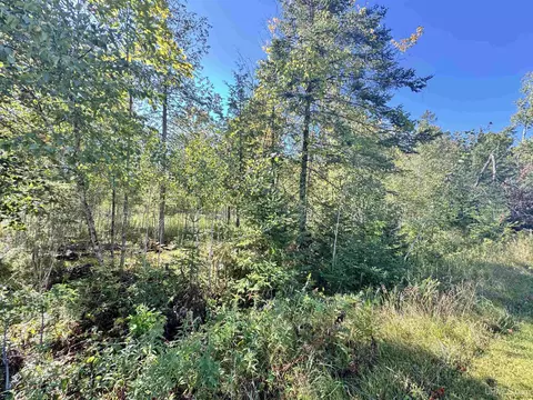 tbd River J5 Parcel A, Cornell, MI 49818 photo 16