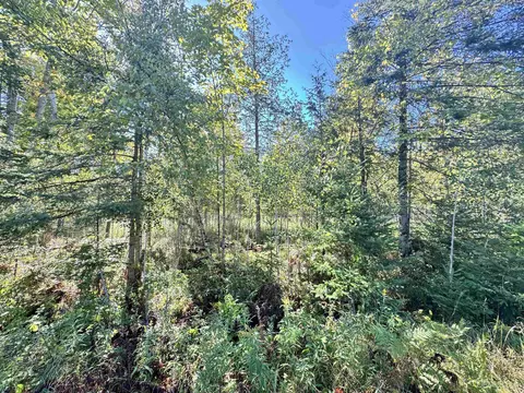 tbd River J5 Parcel A, Cornell, MI 49818 photo 9