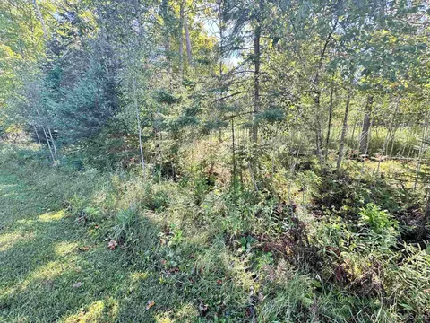 tbd River J5 Parcel A, Cornell, MI 49818 photo 15