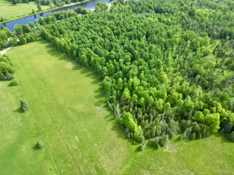 tbd River J5 Parcel A, Cornell, MI 49818 photo 11