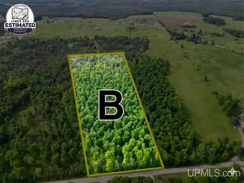 tbd River J5 Parcel A, Cornell, MI 49818 photo 3