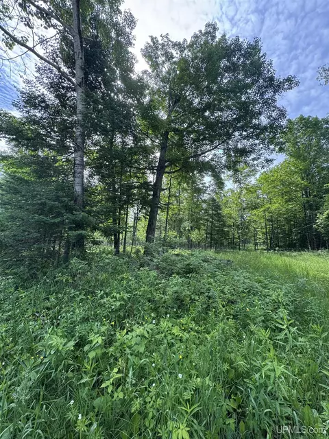 tbd River J5 Parcel B, Cornell, MI 49818 photo 11