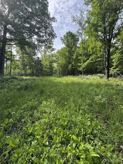 tbd River J5 Parcel B, Cornell, MI 49818 photo 10