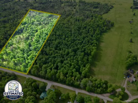 tbd River J5 Parcel B, Cornell, MI 49818 photo 4
