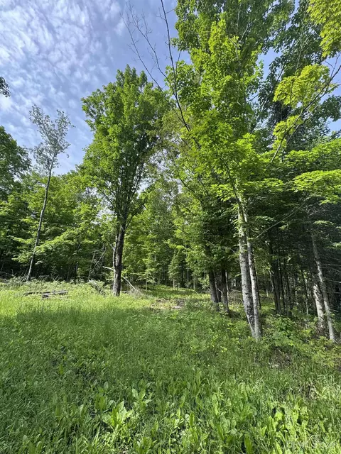 tbd River J5 Parcel B, Cornell, MI 49818 photo 12