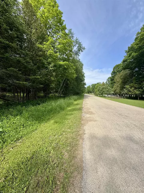 tbd River J5 Parcel B, Cornell, MI 49818 photo 14