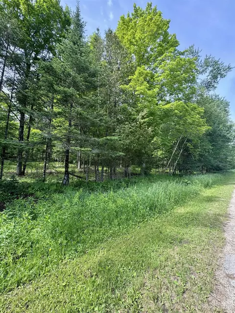 tbd River J5 Parcel B, Cornell, MI 49818 photo 13
