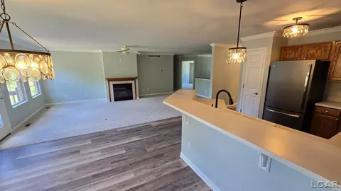 Living - 340 E Fourth, Onsted, MI 49265 photo 1 of 2