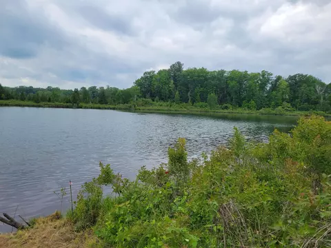 Parcel 2 Simpson, Harrison, MI 48625 photo 4