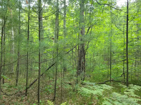 Parcel 2 Simpson, Harrison, MI 48625 photo 5