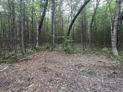 Parcel 2 Simpson, Harrison, MI 48625 photo 5