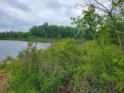 Parcel 2 Simpson, Harrison, MI 48625 photo 3