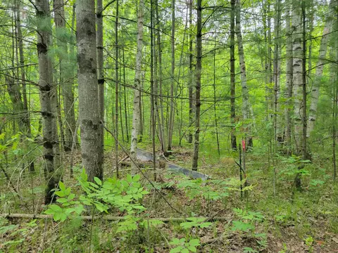 Parcel 2 Simpson, Harrison, MI 48625 photo 6