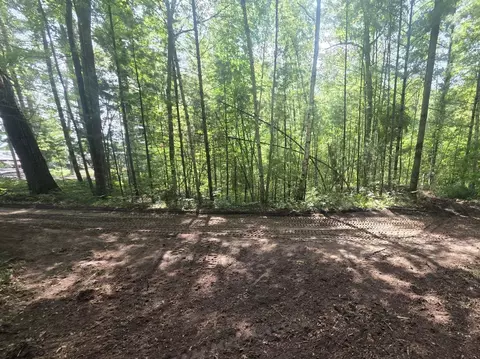 Parcel 2 Simpson, Harrison, MI 48625 photo 10