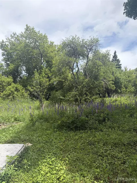 143 Best, Wakefield, MI 49968 photo 6