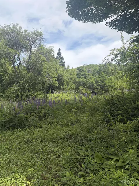143 Best, Wakefield, MI 49968 photo 7