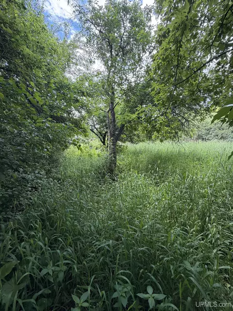 143 Best, Wakefield, MI 49968 photo 3