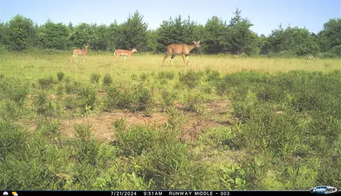 Other - 38140 County Road 581, Ishpeming, MI 49849 photo 26 of 28