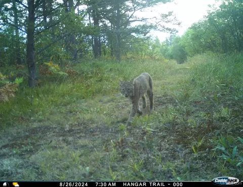 Other - 38140 County Road 581, Ishpeming, MI 49849 photo 24 of 28
