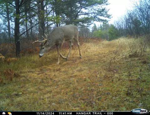 Other - 38140 County Road 581, Ishpeming, MI 49849 photo 25 of 28