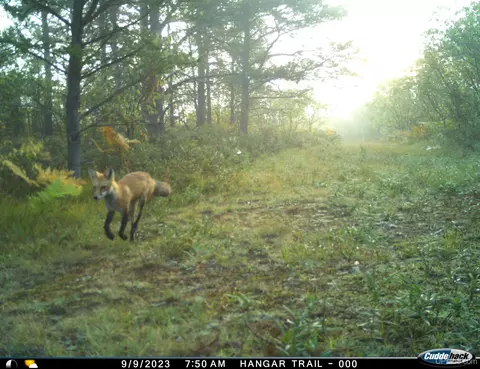 Other - 38140 County Road 581, Ishpeming, MI 49849 photo 22 of 28
