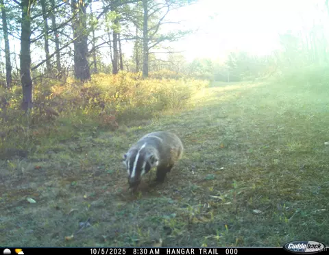Other - 38140 County Road 581, Ishpeming, MI 49849 photo 27 of 28