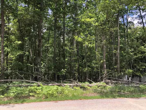 Baric, Roscommon, MI 48653