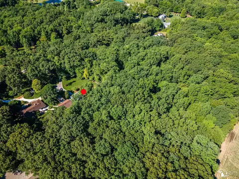 4496 School, Temperance, MI 48182 photo 45