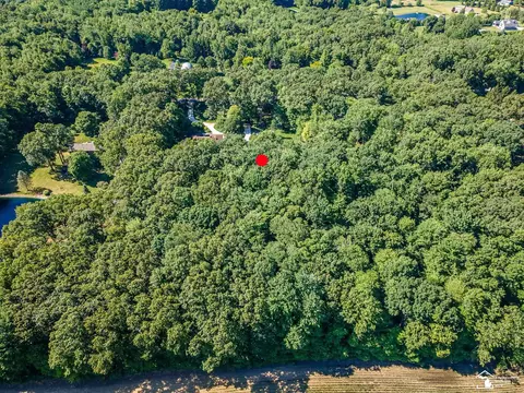 4496 School, Temperance, MI 48182 photo 46