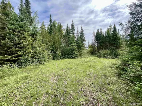 tbd 9th, Bark River, MI 49807