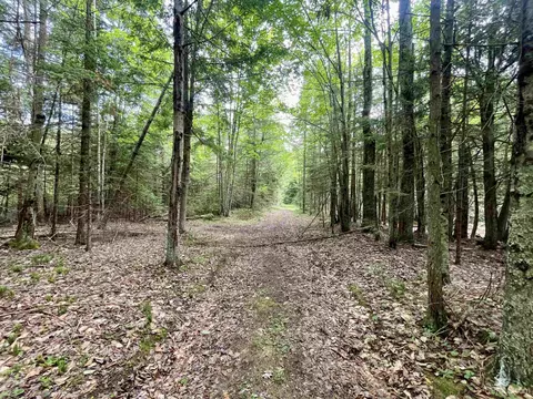 tbd 9th, Bark River, MI 49807 photo 9