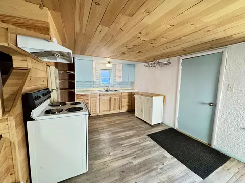 Kitchen - 117 E Peck, Negaunee, MI 49866 photo 1 of 3