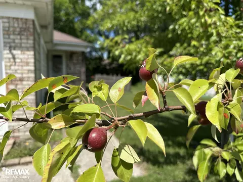 Exterior - 3109 Vineyard, Flushing, MI 48433 photo 3 of 3