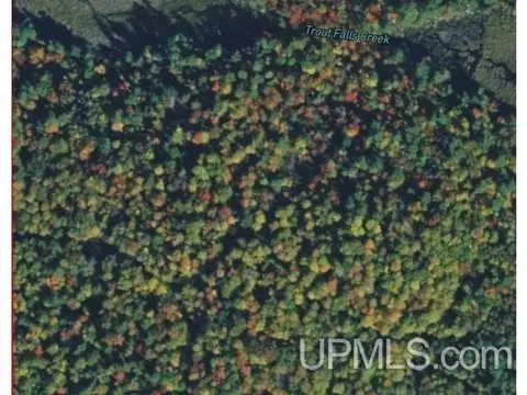 tbd Off Chipmunk, Republic, MI 49879