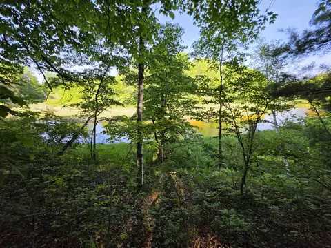tbd N Lakeshore, Gladwin, MI 48624 photo 17
